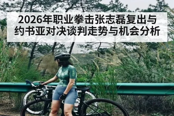 2026年职业拳击张志磊复出与约书亚对决谈判走势与机会分析